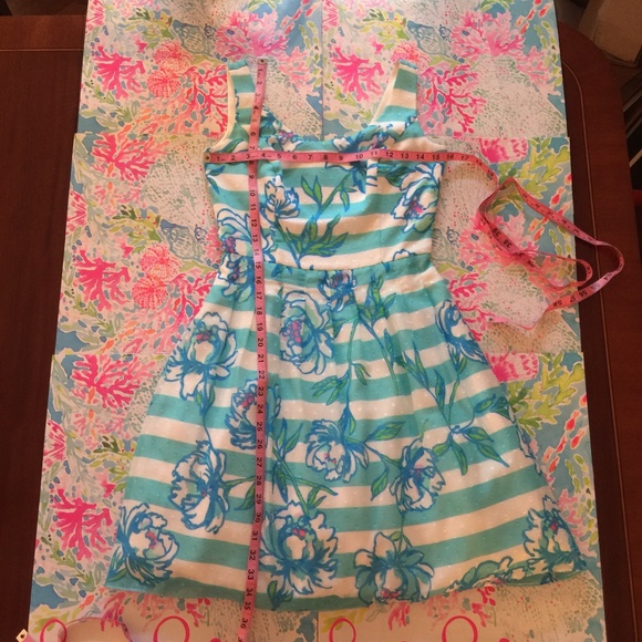 Lilly Pulitzer Posey Dress Size 2 - Picture 3 of 7